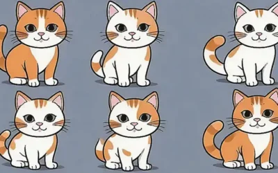 ¿Cómo convivir con gatos felices?
