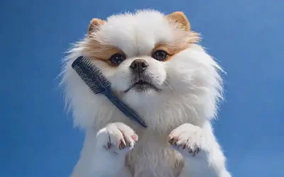 Un paw con peine en un fondo azul muestra cabello dispersado en texto de color blanco