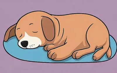 Los perros durmiendo