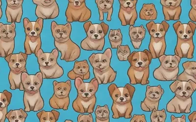 Papel tapiz con perros que permite y prohíbe la interacción favorita.