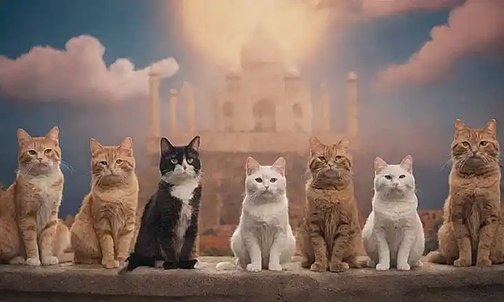 Se ilustran las siete maravillas de los gatos con alegría.    (They illustrate the seven wonders of cats with cheerfulness.)