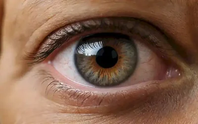 Guía de limpieza ocular canina