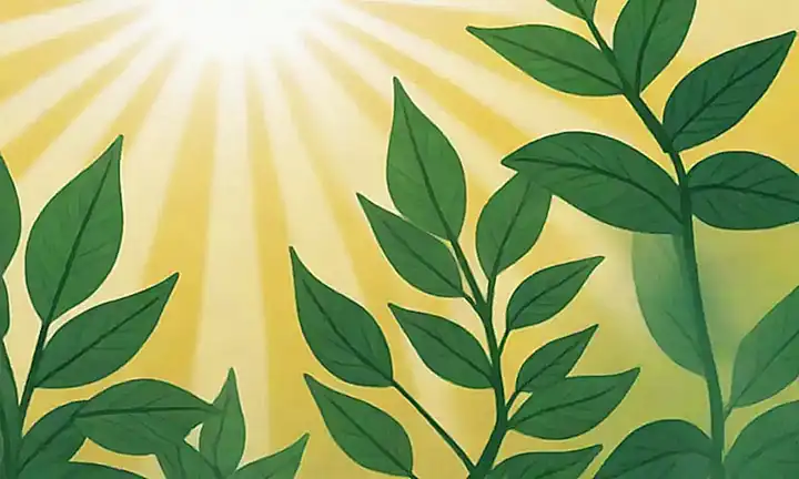 Un retrato de hojas verdes con un fondo vibrante y rayos de sol. This translates: A portrait of green leaves with a bright leafy background and sunlight