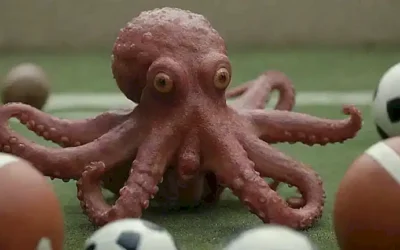 Pulpo Paul observa mientras estrellas y futbol adornan su imagen