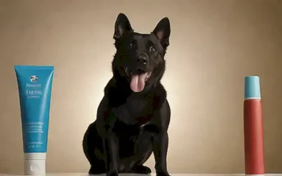 Perfil de perro con sonrisas