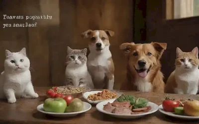 Imágenes de mascotas divas comiendo comida sana