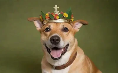 Alemán se ríe con un corona de hojas y flores.