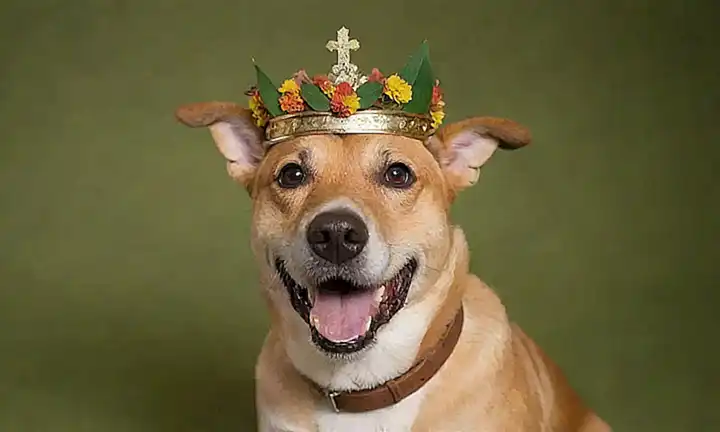 Alemán se ríe con un corona de hojas y flores.