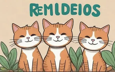 Gatos con plantas y un banner que dice Remedios Caseros . (Short-sentence translation) **Explanation:**1. **...gatos con plantas**: This refers to the cats with plants on their backs.2. ** ...un banner que dice Remedios Caseros**: This refers to a text banner that reads Homemade Remedies