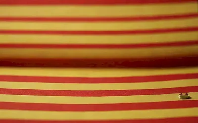 Fondo rojo con texto amarillo: Seguro Obligatorio para Perros en España: Todo lo que Necesitas Saber