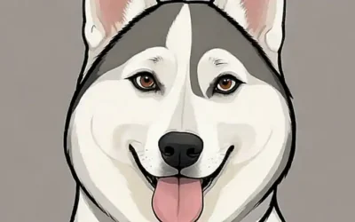 Un macho de husky siberiano robusto y una hembra elegante de husky siberiano