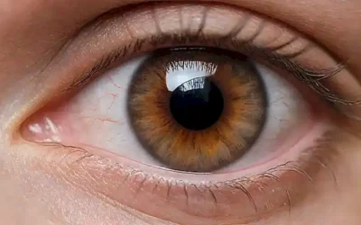 Los ojos del amor