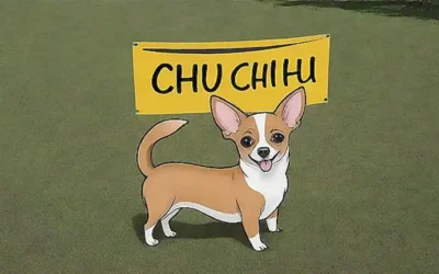 ¡Un banderín chihuahua con ventajas y desventajas!      (A chihuahua dog banner with advantages and disadvantages!)