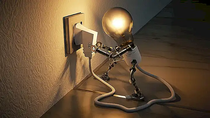 Importancia de la luz en el comportamiento reproductivo