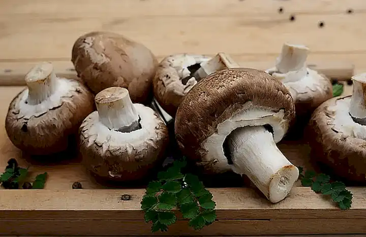 Ingredients naturales y funcionales
