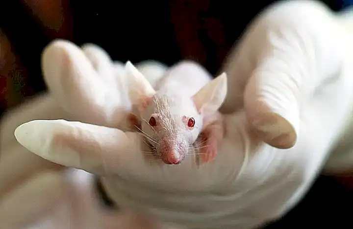 Investigación y descubrimiento