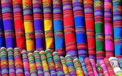 los-ojos-de-los-gatos_h2_1227.webp