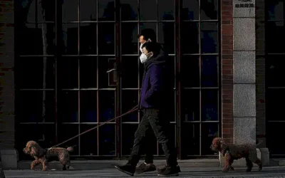 causas-de-la-masturbacion-en-perros_h2_1774.webp