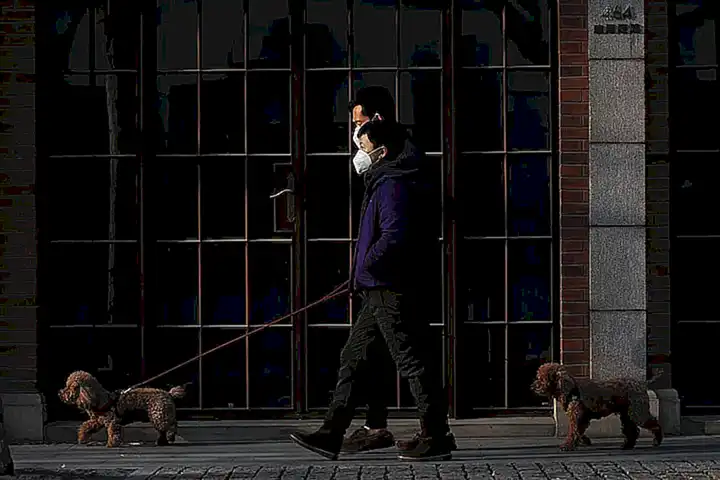 causas-de-la-masturbacion-en-perros_h2_1774.webp