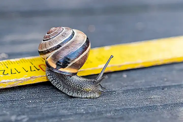 La región más rica en especies