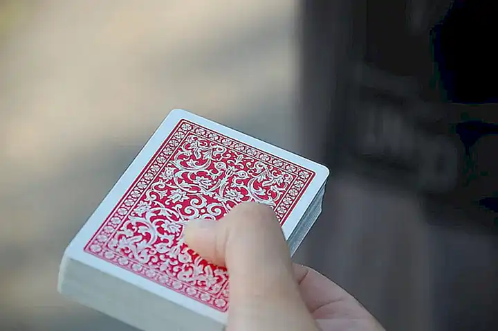 ¿Las cosquillas pueden ser parte del juego con los perros?