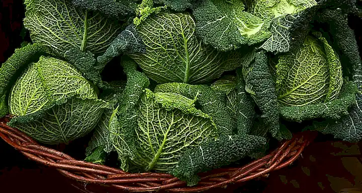 Las frutas verde y hoja verde que son una buena fuente de vitaminas y minerales