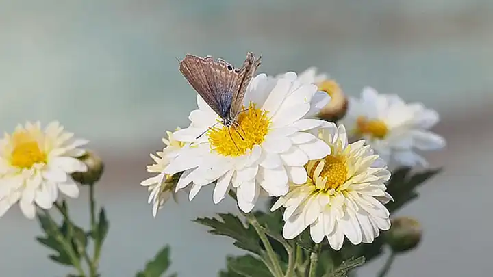 considerar-el-espacio-fisico_h2_890.webp