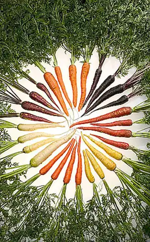 Los beneficios de elegir Natures Variety
