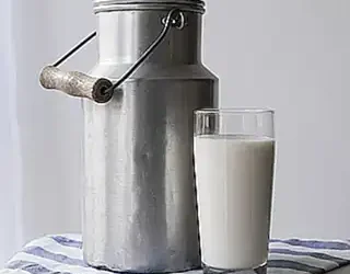 las-razones-por-las-que-los-gatos-no-pueden-beber-leche-de-vaca_h2_288.webp