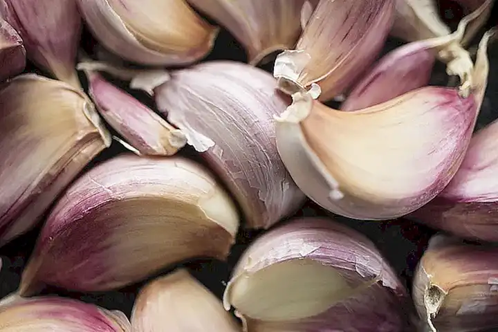 Los ingredientes utilizados en la dieta
