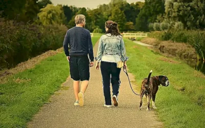 la-importancia-de-llevar-tu-perro-al-veterinario_h2_806.webp