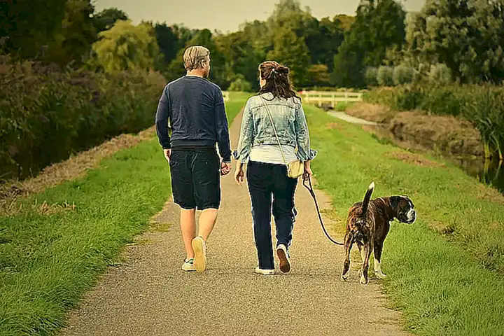 la-importancia-de-llevar-tu-perro-al-veterinario_h2_806.webp