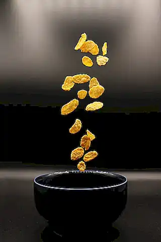 platos-para-gatos_h2_1621.webp
