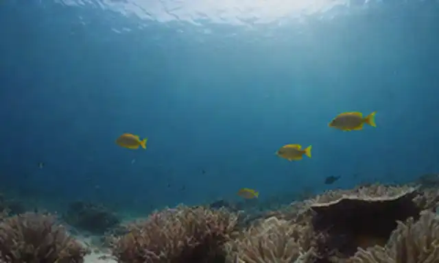 Un pez colorido, aletas extendidas, nadando hacia un arrecife de coral, rodeado de algas y escuelas de peces más pequeños, con un fondo oceánico sutil, vida marina vibrante, escena subacuática tropical, ecosistema acuático, especies diversas, escalas delicadas, movimiento fluir