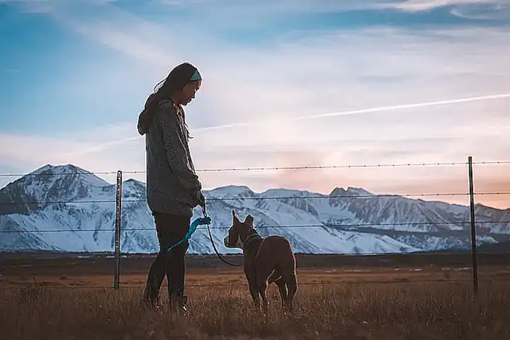 Mantén atado al perro durante los primeros minutos
