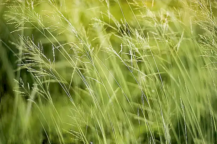 Materias ecológicas y resistentes
