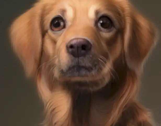 Image of the article should show the scientific research and findings about jadeo en perros.