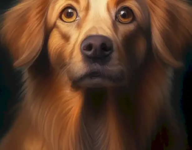 The image should depict the fascinating phenomenon of jadeo in dogs, showcasing the luminous eyes and otherworldly glow emanating from the animal's eyes at night.