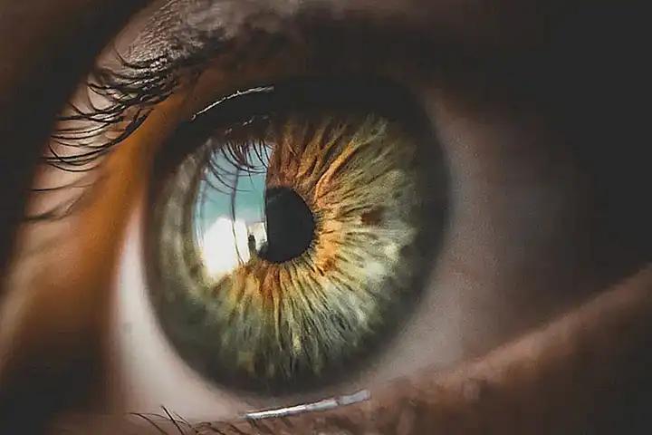 Mordedores para problemas de ojos