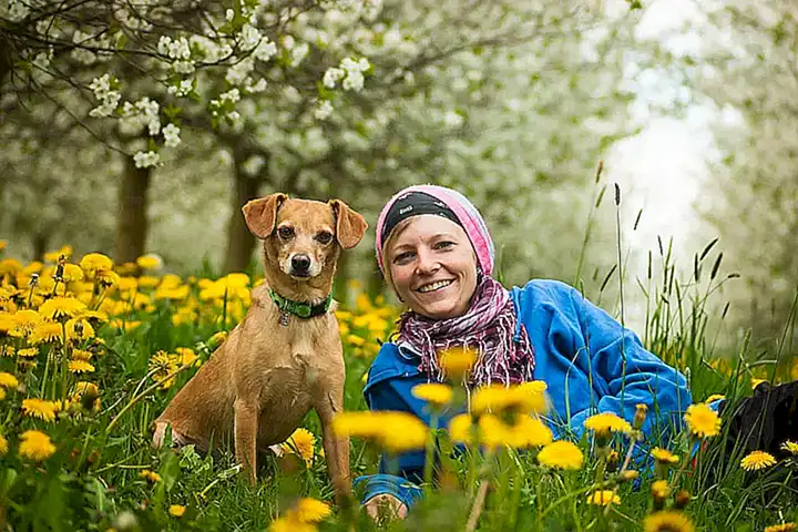 la-importancia-de-consultar-con-un-veterinario_h2_25.webp