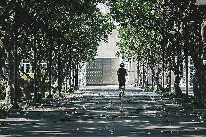 Necesidades de ejercicio del Biewer Terrier