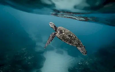 agua-y-espacio-del-agua_h2_895.webp