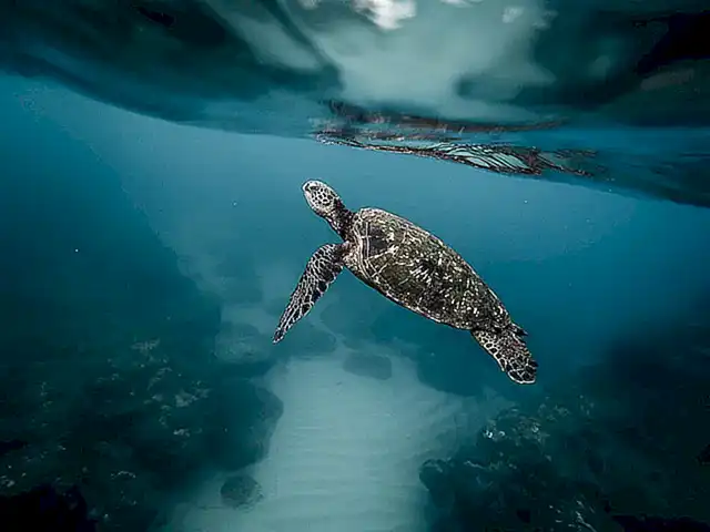 agua-y-espacio-del-agua_h2_895.webp