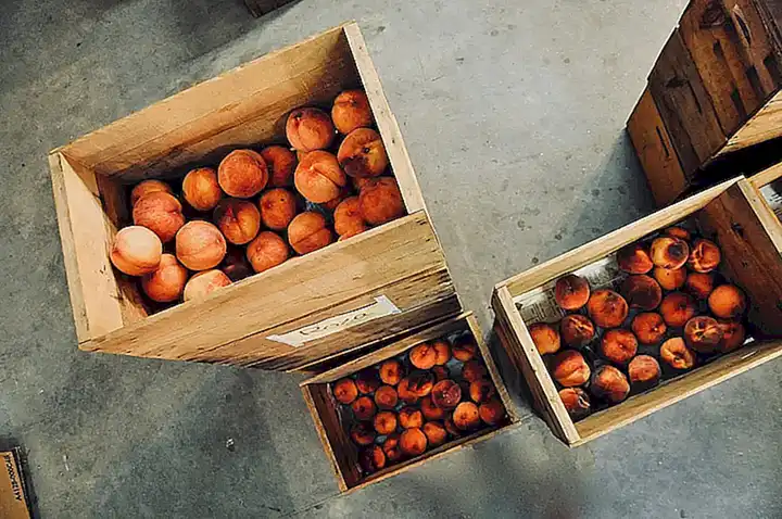 Organizar el almacenamiento de los alimentos con un clicker