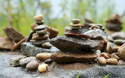 curiosity_h2_762.webp