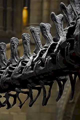 flexibilidad-en-la-columna-vertebral_h2_361.webp
