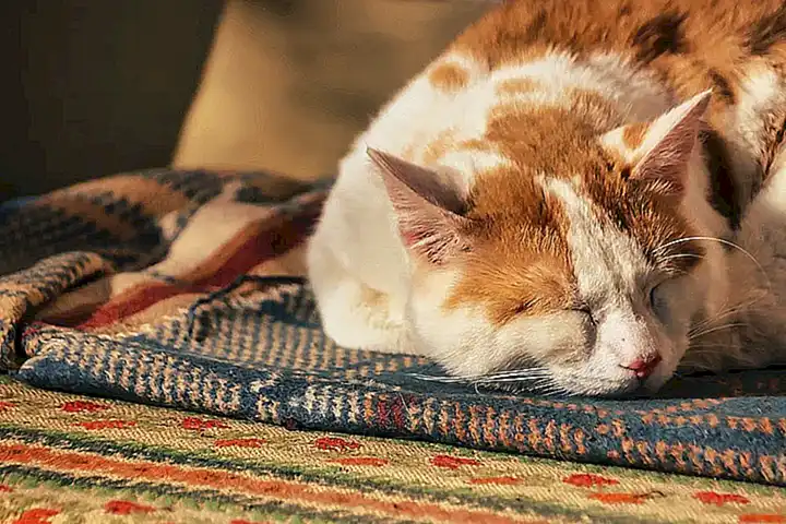 Para relajarse y dormir