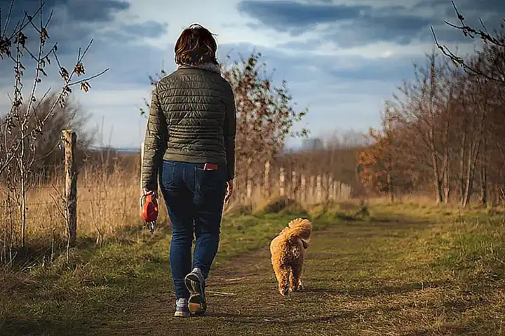 Paseos al aire libre