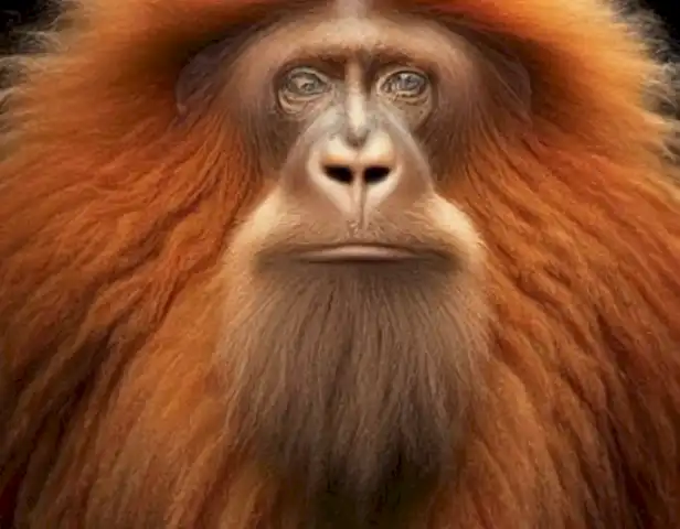 image of the Peludos.top Magazine: la guía definitiva para amantes del mundo animal