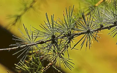 cambios-de-temperatura_h2_563.webp